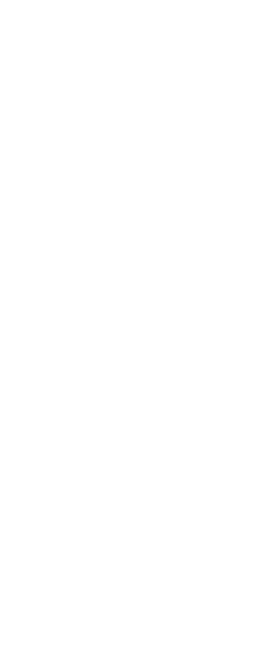 Strisce logo